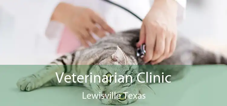 Veterinarian Clinic Lewisville Texas