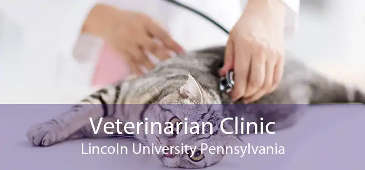 Veterinarian Clinic Lincoln University Pennsylvania
