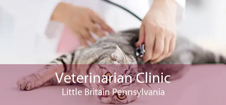 Veterinarian Clinic Little Britain Pennsylvania