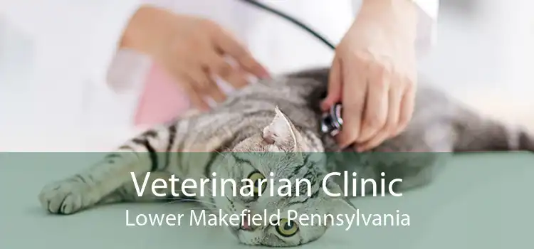 Veterinarian Clinic Lower Makefield Pennsylvania