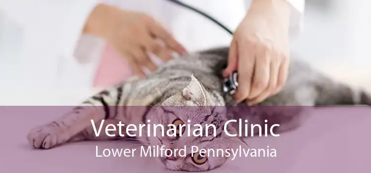 Veterinarian Clinic Lower Milford Pennsylvania