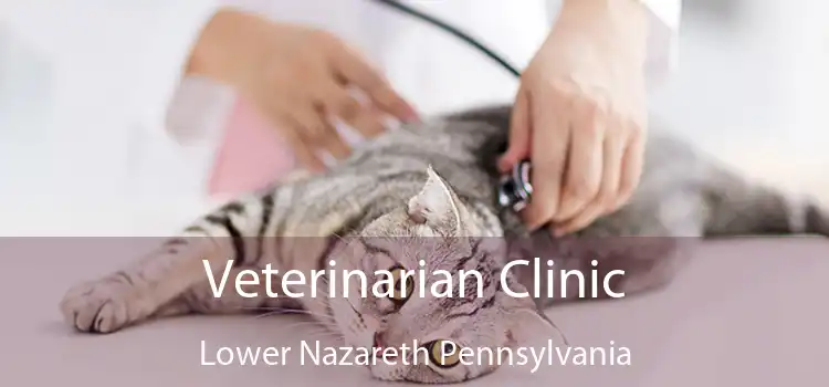 Veterinarian Clinic Lower Nazareth Pennsylvania