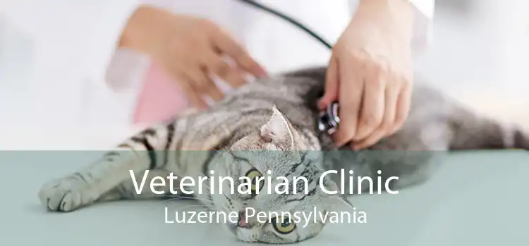 Veterinarian Clinic Luzerne Pennsylvania