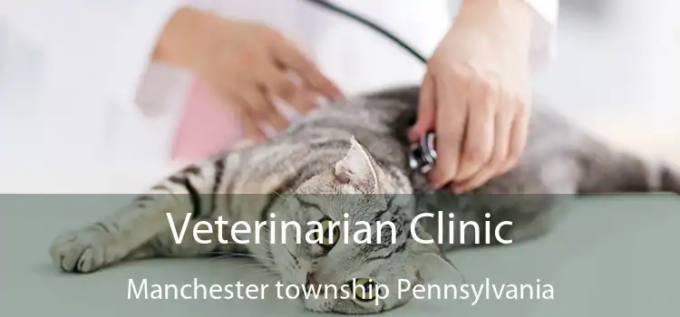 Veterinarian Clinic Manchester township Pennsylvania