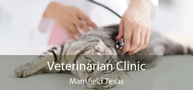 Veterinarian Clinic Mansfield Texas
