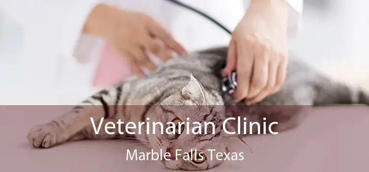 Veterinarian Clinic Marble Falls Texas