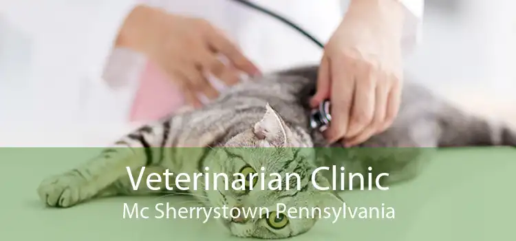 Veterinarian Clinic Mc Sherrystown Pennsylvania