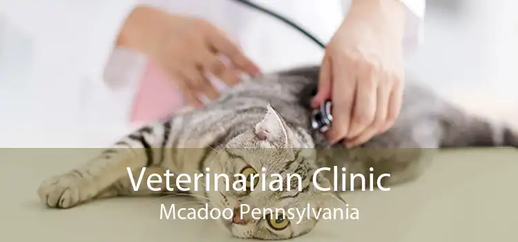 Veterinarian Clinic Mcadoo Pennsylvania