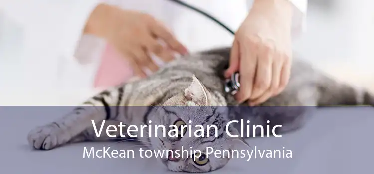 Veterinarian Clinic McKean township Pennsylvania
