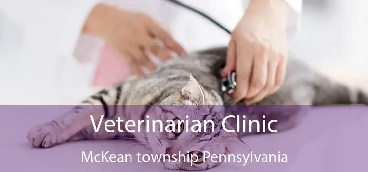 Veterinarian Clinic McKean township Pennsylvania