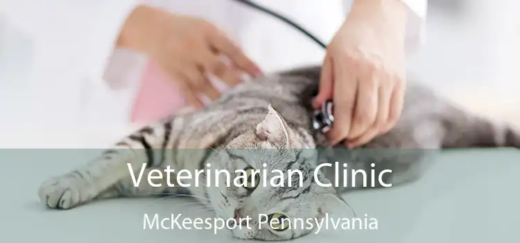 Veterinarian Clinic McKeesport Pennsylvania