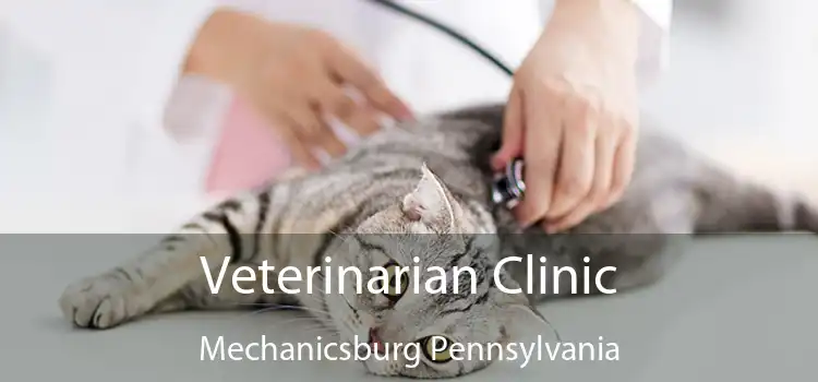 Veterinarian Clinic Mechanicsburg Pennsylvania