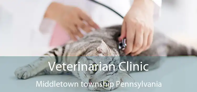 Veterinarian Clinic Middletown township Pennsylvania