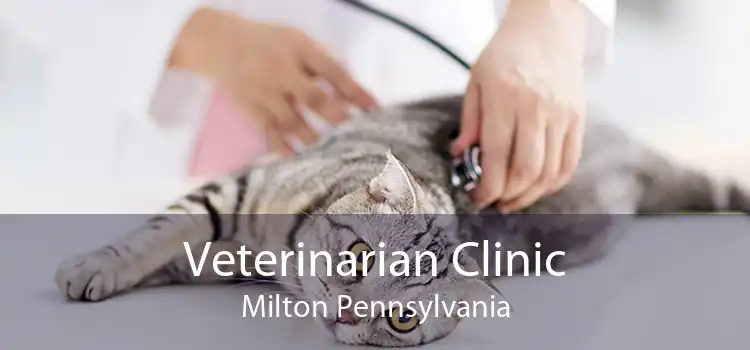 Veterinarian Clinic Milton Pennsylvania