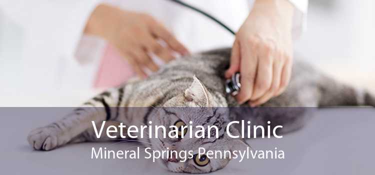 Veterinarian Clinic Mineral Springs Pennsylvania