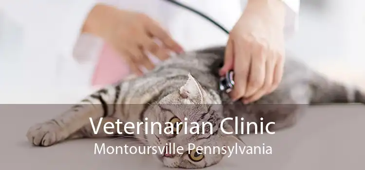 Veterinarian Clinic Montoursville Pennsylvania