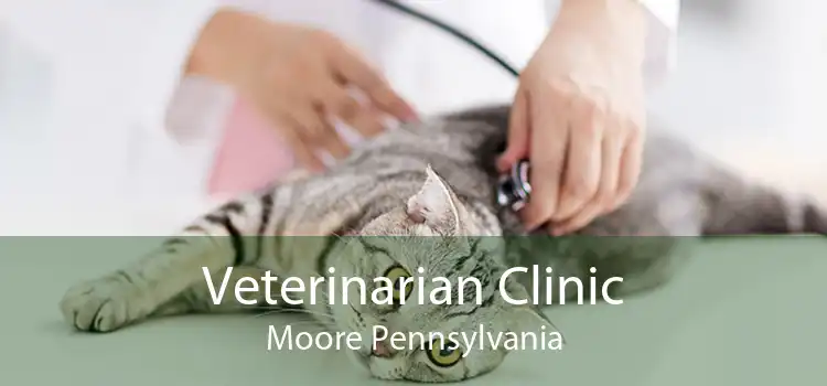Veterinarian Clinic Moore Pennsylvania