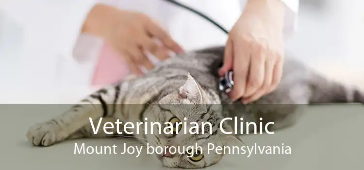 Veterinarian Clinic Mount Joy borough Pennsylvania