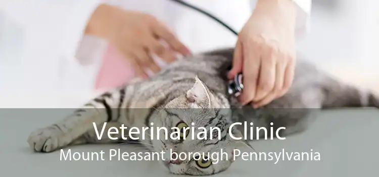 Veterinarian Clinic Mount Pleasant borough Pennsylvania
