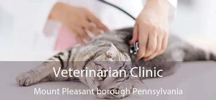 Veterinarian Clinic Mount Pleasant borough Pennsylvania