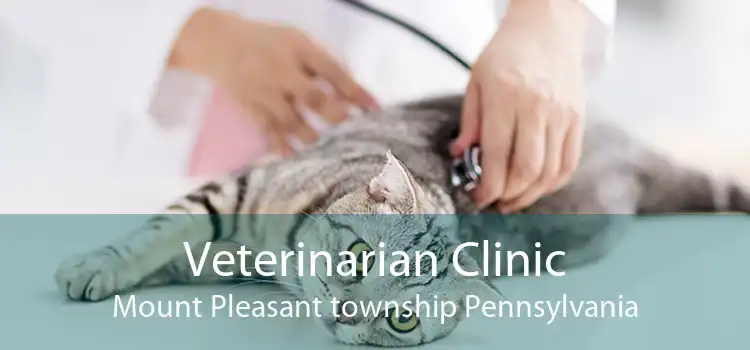 Veterinarian Clinic Mount Pleasant township Pennsylvania