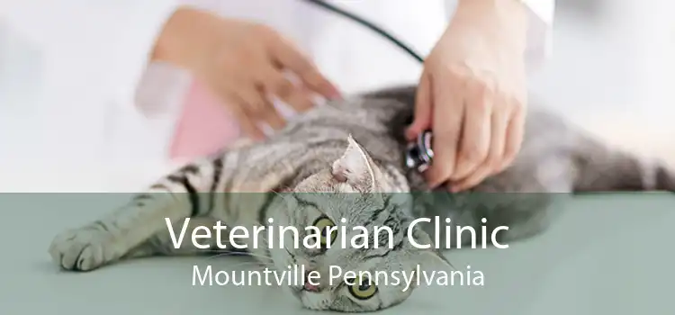 Veterinarian Clinic Mountville Pennsylvania