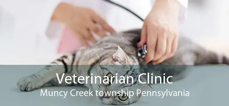 Veterinarian Clinic Muncy Creek township Pennsylvania