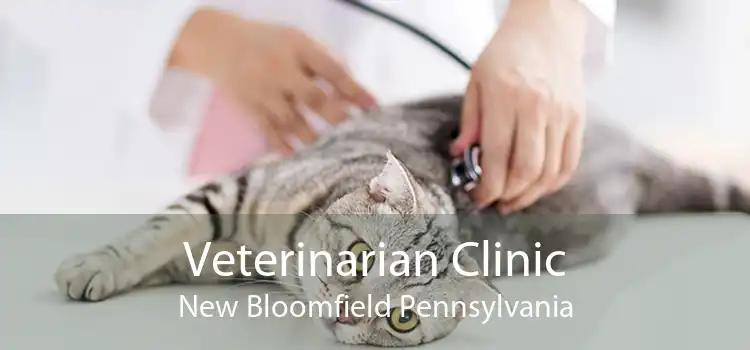 Veterinarian Clinic New Bloomfield Pennsylvania