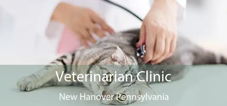 Veterinarian Clinic New Hanover Pennsylvania