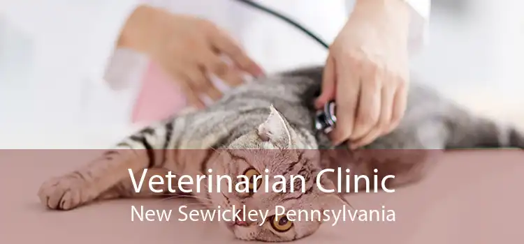 Veterinarian Clinic New Sewickley Pennsylvania