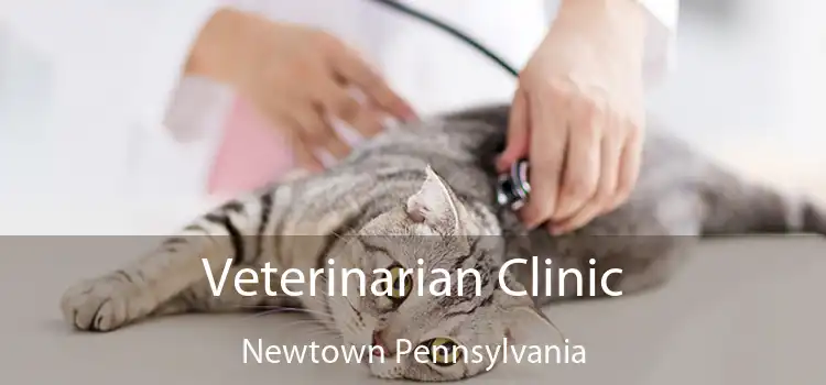 Veterinarian Clinic Newtown Pennsylvania