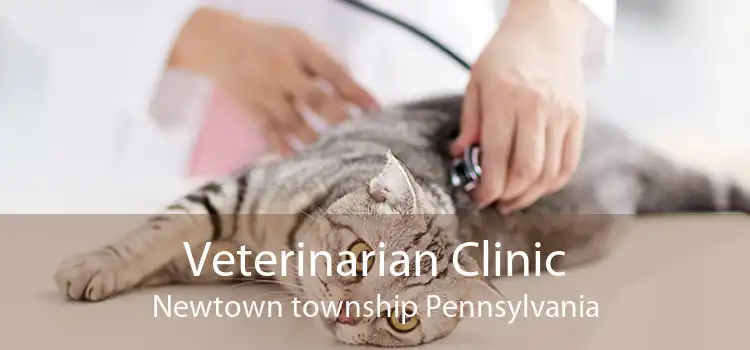 Veterinarian Clinic Newtown township Pennsylvania
