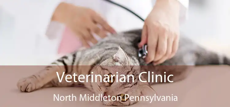 Veterinarian Clinic North Middleton Pennsylvania