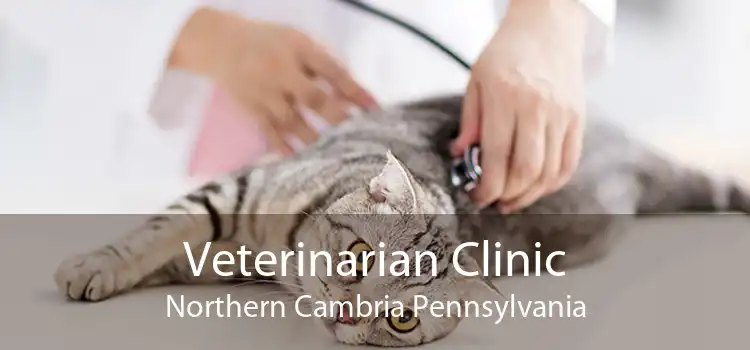 Veterinarian Clinic Northern Cambria Pennsylvania