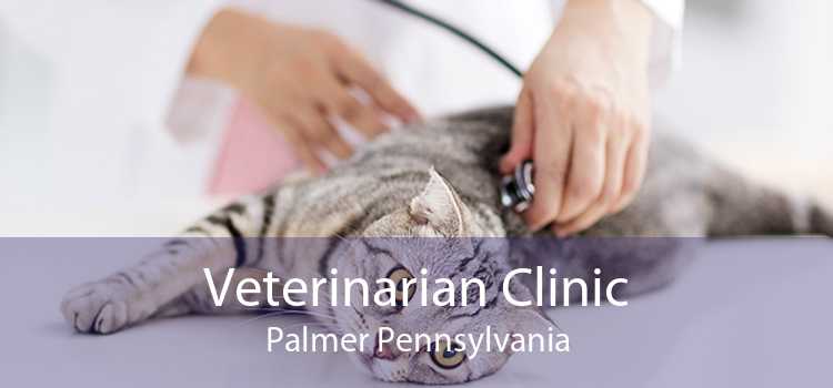 Veterinarian Clinic Palmer Pennsylvania