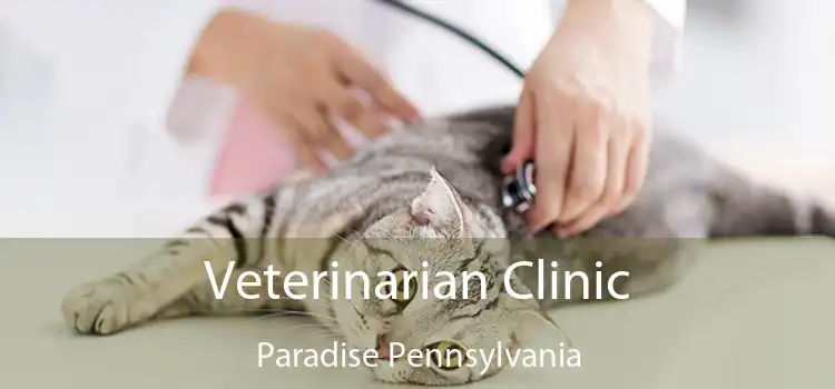 Veterinarian Clinic Paradise Pennsylvania
