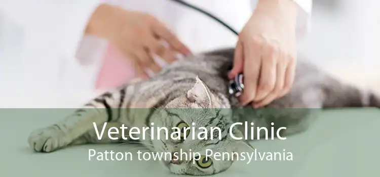 Veterinarian Clinic Patton township Pennsylvania