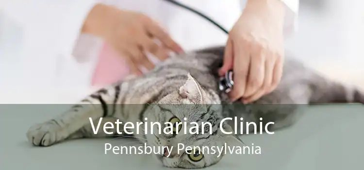 Veterinarian Clinic Pennsbury Pennsylvania