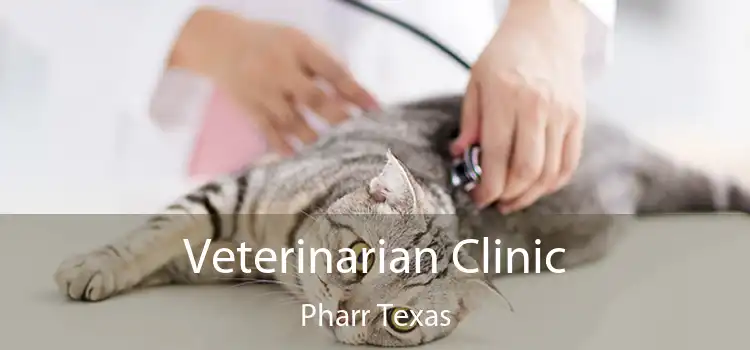 Veterinarian Clinic Pharr Texas