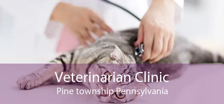 Veterinarian Clinic Pine township Pennsylvania