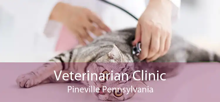 Veterinarian Clinic Pineville Pennsylvania
