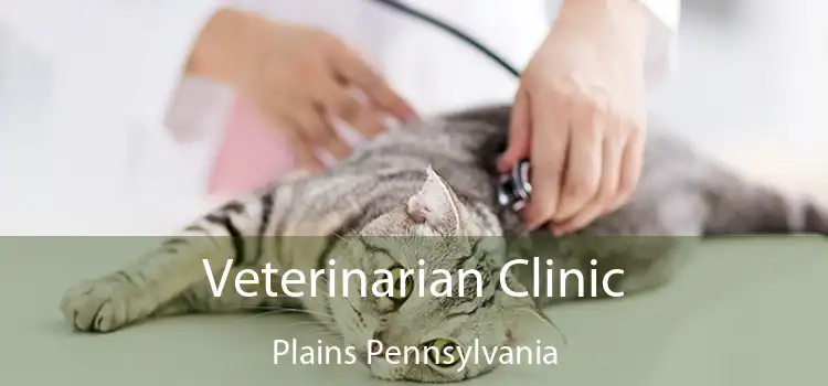 Veterinarian Clinic Plains Pennsylvania