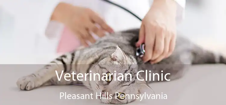 Veterinarian Clinic Pleasant Hills Pennsylvania