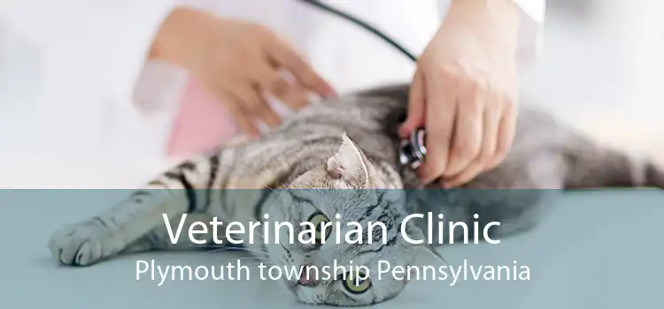 Veterinarian Clinic Plymouth township Pennsylvania