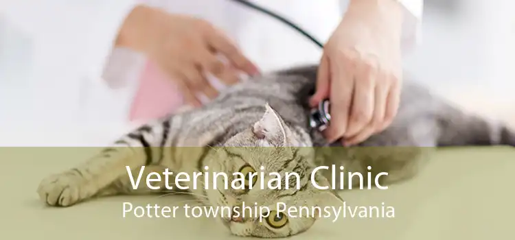 Veterinarian Clinic Potter township Pennsylvania