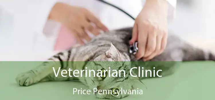 Veterinarian Clinic Price Pennsylvania