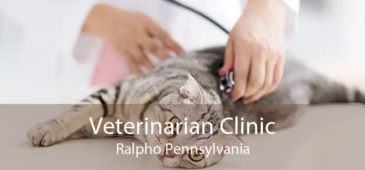 Veterinarian Clinic Ralpho Pennsylvania