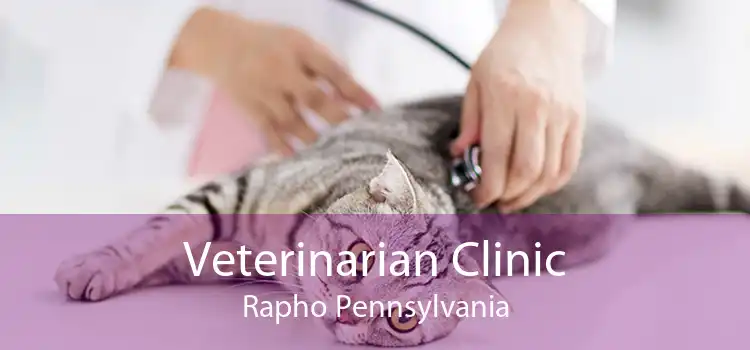 Veterinarian Clinic Rapho Pennsylvania