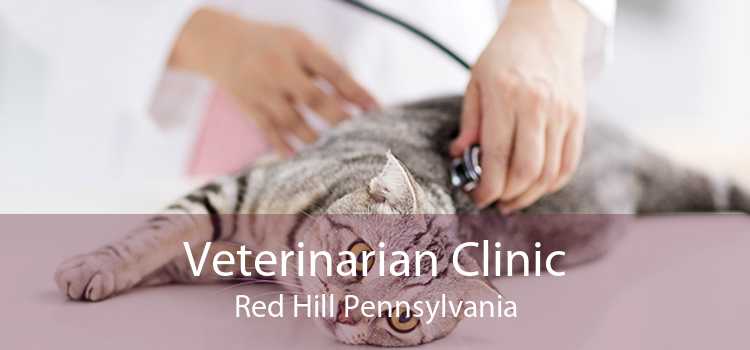 Veterinarian Clinic Red Hill Pennsylvania