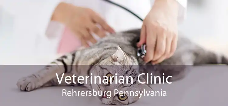 Veterinarian Clinic Rehrersburg Pennsylvania